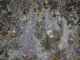 image of grave number 808001